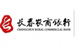 长春发展农商银行最新爆料,揭秘业务创新与市场布局新动向